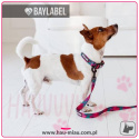 Baylabel - Obroża dla psa - Van Dogh - "XL"