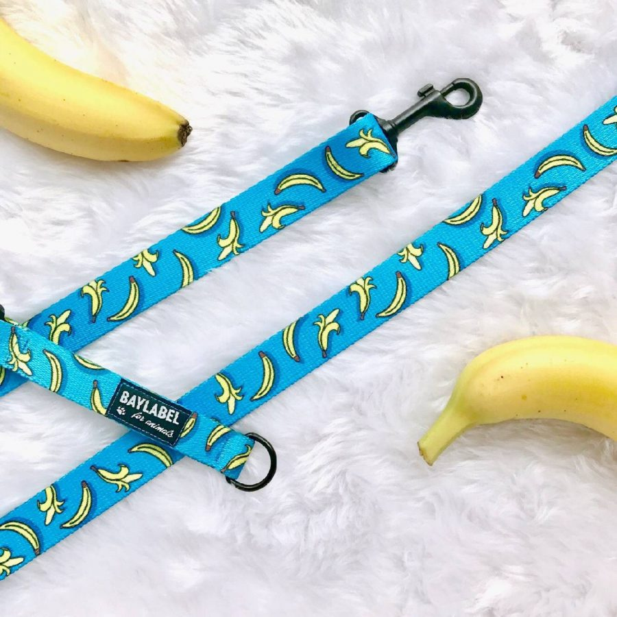 Baylabel - Pas do samochodu dla psa - Crazy Bananas - 2,5 cm Baylabel - Pas do samochodu dla psa - Crazy Bananas - 2,5 cm