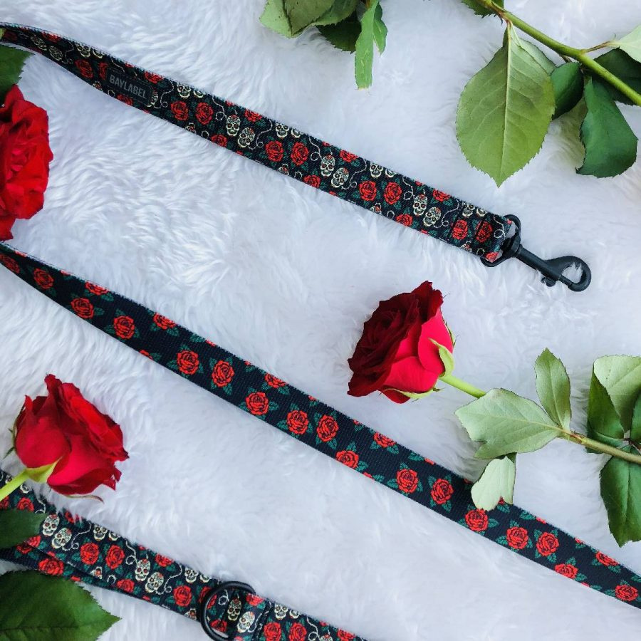 Baylabel - Pas do samochodu dla psa - Skulls`n`Roses - 2,5 cm Baylabel - Pas do samochodu dla psa - Skulls`n`Roses - 2,5 cm