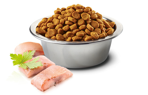 Farmina - N&D - Ocean Dog Adult Mini Herring & Orange - ŚLEDŹ Z POMARAŃCZĄ - 2,5 KG Farmina - N&D - Ocean Dog Adult Mini Herring & Orange - ŚLEDŹ Z POMARAŃCZĄ - 2,5 KG