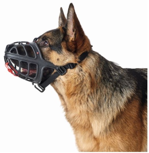 Hunter - Kaganiec ALBURY z TPR - rozmiar 2