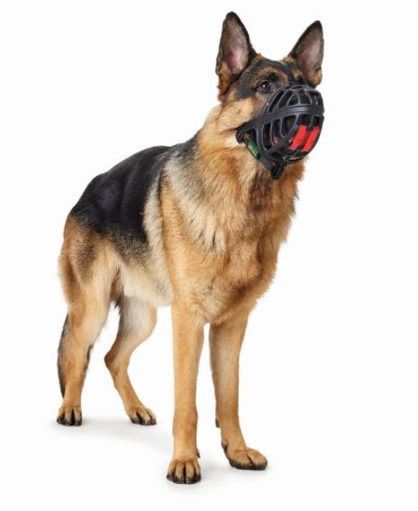 Hunter - Kaganiec ALBURY z TPR - rozmiar 2