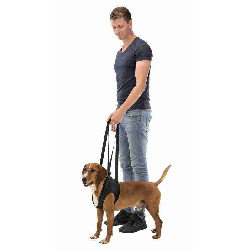 Trixie - Uprząż rehabilitacyjna / nosidło - CZARNA - L - 65-75cm - do 35kg Trixie - Uprząż rehabilitacyjna / nosidło - CZARNA - L - 65-75cm - do 35kg