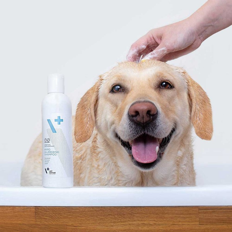 Vet Expert - Hypo Allergenic Shampoo - Szampon hipoalergiczny - 250ml Vet Expert - Hypo Allergenic Shampoo - Szampon hipoalergiczny - 250ml