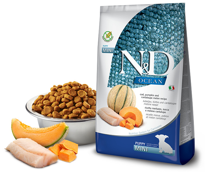 Farmina - N&D - Ocean Dog Puppy Mini Codfish, Pumpkin & Cantaloupe Melon - DORSZ, DYNIA I MELON CANTALOUPE - 800g Farmina - N&D - Ocean Dog Puppy Mini Codfish, Pumpkin & Cantaloupe Melon - DORSZ, DYNIA I MELON CANTALOUPE - 800g