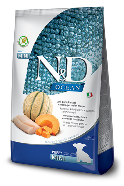 Farmina - N&D - Ocean Dog Puppy Mini Codfish, Pumpkin & Cantaloupe Melon - DORSZ, DYNIA I MELON CANTALOUPE - 800g Farmina - N&D - Ocean Dog Puppy Mini Codfish, Pumpkin & Cantaloupe Melon - DORSZ, DYNIA I MELON CANTALOUPE - 800g
