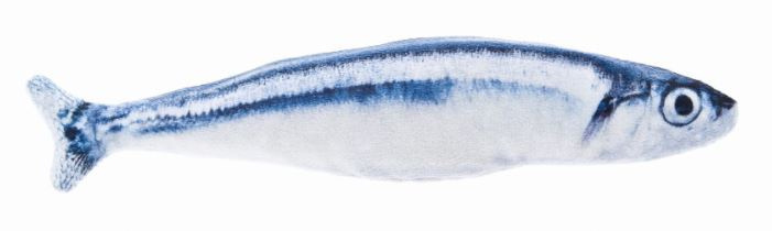 Ferribiella - Zabawka dla kota - Sardynka z matatabi - 20×4×6 cm - TOY Ferribiella - Zabawka dla kota - Sardynka z matatabi - 20×4×6 cm - TOY