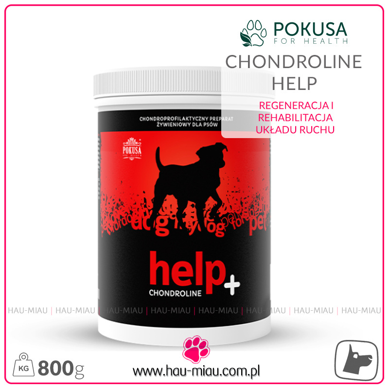 Pokusa - Chondroline Help - Regeneracja i rehabilitacja układu ruchu - 800g Pokusa - Chondroline Help - Regeneracja i rehabilitacja układu ruchu - 800g