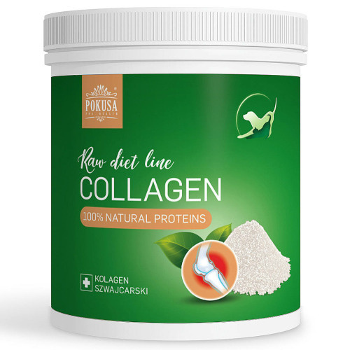 Pokusa - RawDietLine Collagen - kolagen z ryb oceanicznych, wspomaga mięśnie, stawy, skórę i paznokcie - 200g