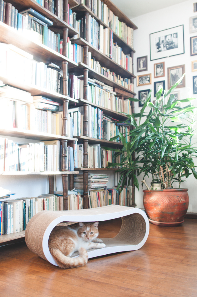 Catphil - Drapak GUSTO - BIAŁY - 77/27/25 cm Catphil - Drapak GUSTO - BIAŁY - 77/27/25 cm