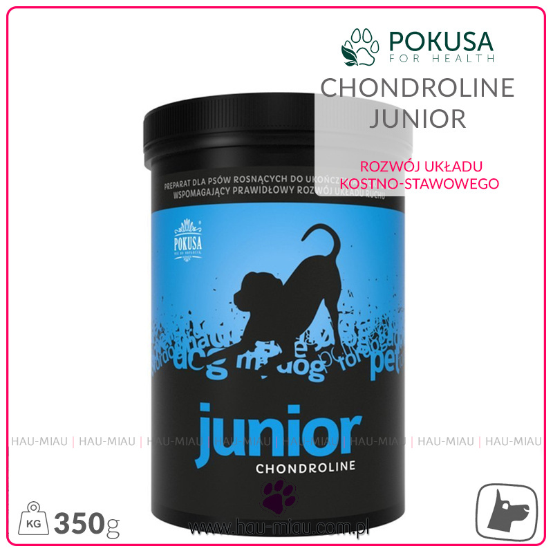 Pokusa - Chondroline Junior - Prawidłowe funkcjonowanie i rozwój układu kostno-stawowego - 350g Pokusa - Chondroline Junior - Prawidłowe funkcjonowanie i rozwój układu kostno-stawowego - 350g