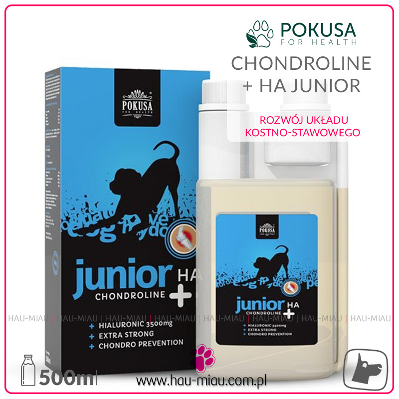 Pokusa - Chondroline Junior + HA - Prawidłowe funkcjonowanie i rozwój układu kostno-stawowego - 500ml Pokusa - Chondroline Junior + HA - Prawidłowe funkcjonowanie i rozwój układu kostno-stawowego - 500ml