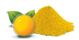 Pokusa - RawDietLine Egg Yolk - Żółtko jaj kurzych - Źródło witamin i błonnika pokarmowego - 150g