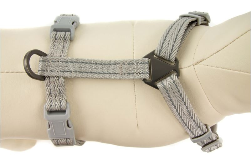 Trend by Chico - Szelki odblaskowe RUN - POMARAŃCZOWE - S - 35-45cm Trend by Chico - Szelki odblaskowe RUN - POMARAŃCZOWE - S - 35-45cm