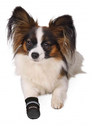 Trixie - Buty ochronne Walker Care Comfort - XXL - Bernenski pies pasterski