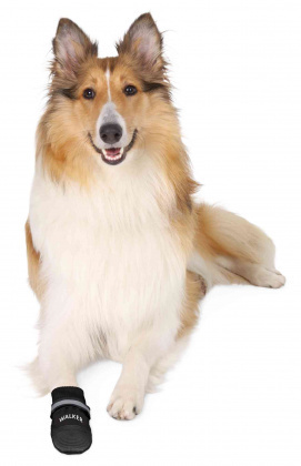 Trixie - Buty ochronne Walker Care Comfort - XXL - Bernenski pies pasterski