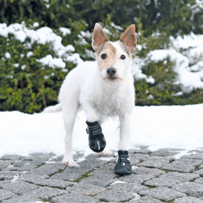 Trixie - Buty ochronne Walker Active - XS - Yorkshire Terrier Trixie - Buty ochronne Walker Active - XS - Yorkshire Terrier