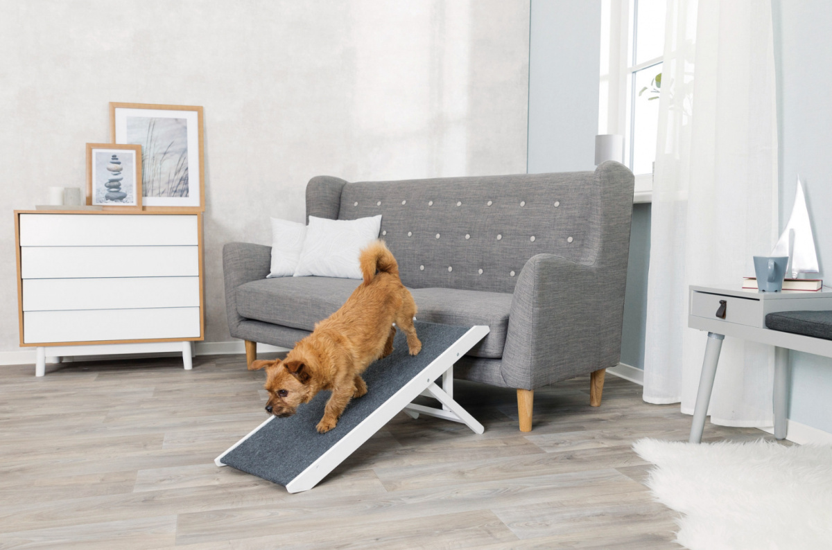 Trixie - Regulowana rampa / kładka do 40 kg - 36 × 90 cm Trixie - Regulowana rampa / kładka do 40 kg - 36 × 90 cm