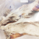 Bult - Przysmak naturalny - Ucho królika z futrem - 10 szt.