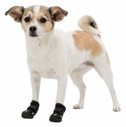 Trixie - Buty ochronne Walker Active - L/XL - Golden Retriever Trixie - Buty ochronne Walker Active - L/XL - Golden Retriever