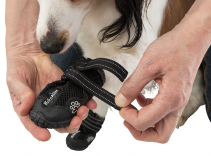Trixie - Buty ochronne Walker Active - S/M - Jack Russell Terrier