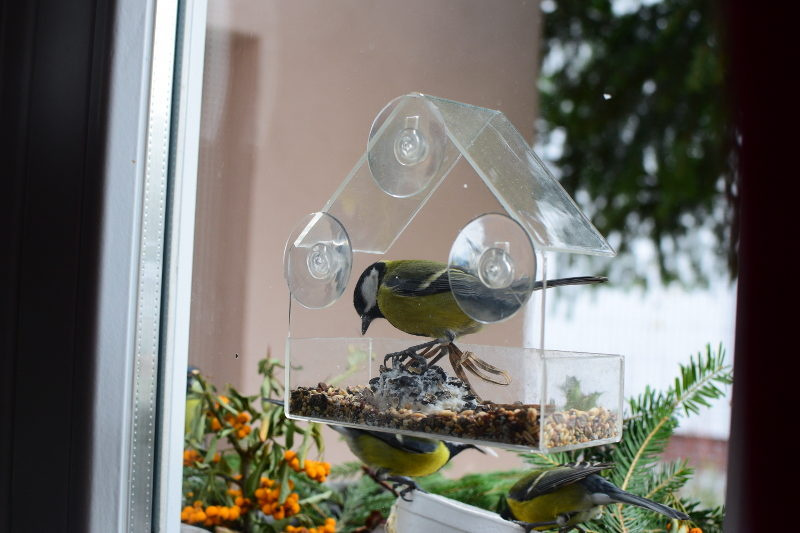 Trixie - Karmnik dla ptaków na okno/szybę