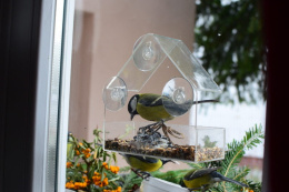 Trixie - Karmnik dla ptaków na okno / szybę
