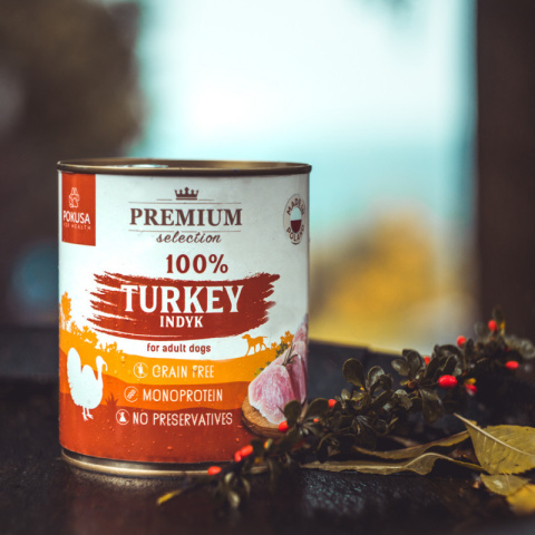 Pokusa - Premium Selection - INDYK 100% - 400g Pokusa - Premium Selection - INDYK 100% - 400g