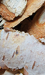 Natural-Vit - Przekąska Kora brzozy - 60g