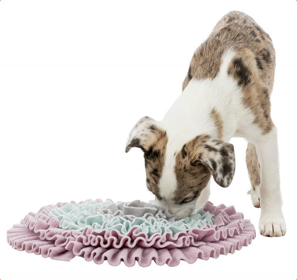 Trixie - Sniffing Carpet - Gra / Mata węchowa dla psa - 38 cm