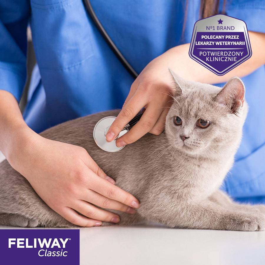 Feliway - Feromony kojące Classic - Dyfuzor ze środkiem uspokajającym dla kota - 48ml Feliway - Feromony kojące Classic - Dyfuzor ze środkiem uspokajającym dla kota - 48ml