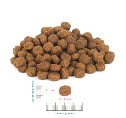 Perro - Adult - Cielęcina z Batatami - 12 kg Perro - Adult - Cielęcina z Batatami - 12 kg