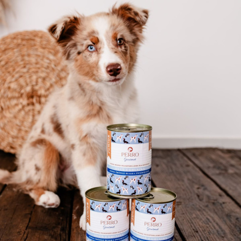 Perro - Gourmet Junior MONO - Jeleń z gruszką - 800g Perro - Gourmet Junior MONO - Jeleń z gruszką - 800g