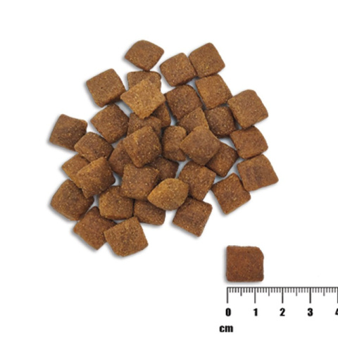 Raw Paleo - Healthy Grain Lamb - JAGNIECINA - 2 KG Raw Paleo - Healthy Grain Lamb - JAGNIECINA - 2 KG