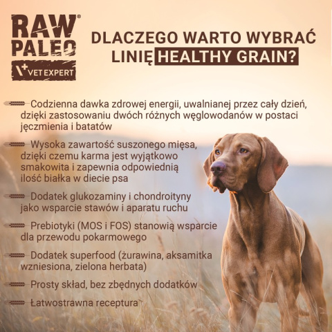 Raw Paleo - Healthy Grain Lamb - JAGNIECINA - 2 KG Raw Paleo - Healthy Grain Lamb - JAGNIECINA - 2 KG