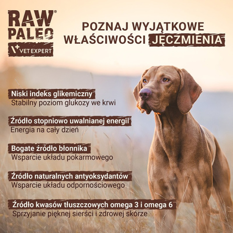 Raw Paleo - Healthy Grain Lamb - JAGNIECINA - 2 KG Raw Paleo - Healthy Grain Lamb - JAGNIECINA - 2 KG