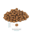 Perro - Adult - Wołowina z Jagnięciną 1 kg