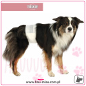Trixie - Pieluchy dla psów - 12 szt - rozmiar L-XL