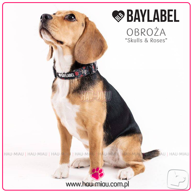 Baylabel - Obroża dla psa - Skulls & Roses - L Baylabel - Obroża dla psa - Skulls & Roses - L