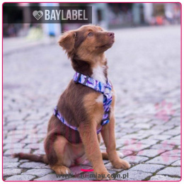 Baylabel - Szelki dla psa - Step-In Lalavender Land - 