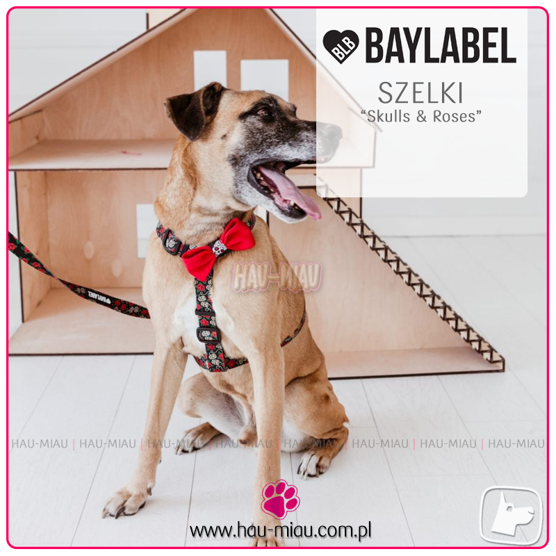 Baylabel - Szelki dla psa - Step-In Skulls & Roses - "S"
