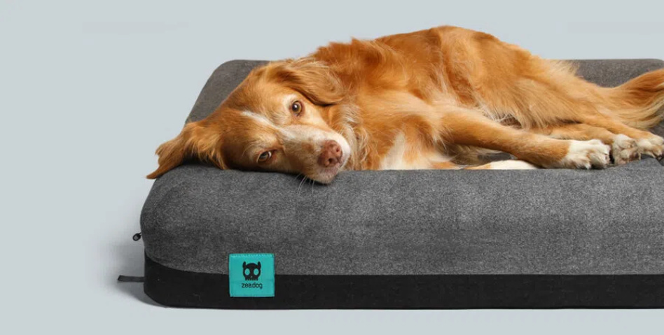 Zee.dog - Materac / Legowisko Zee.Bed - rozmiar L Zee.dog - Materac / Legowisko Zee.Bed - rozmiar L
