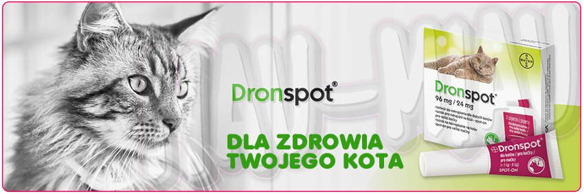 Bayer - Dronspot - Środek na robaki i pasożyty - średnie koty 2,5-5 kg - 1 pipeta Bayer - Dronspot - Środek na robaki i pasożyty - średnie koty 2,5-5 kg - 1 pipeta
