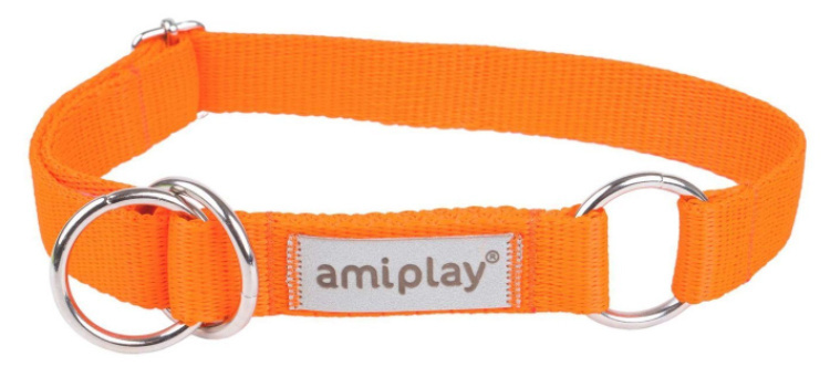 AmiPlay - Obroża półzaciskowa - SAMBA - POMARAŃCZOWA - L - 35-50 cm
