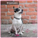 Baylabel - Obroża dla psa - Black 'n' White - "XL"
